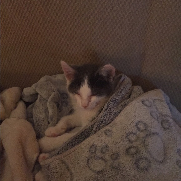 Meet your Posher, Carole - Picture 3 of 4